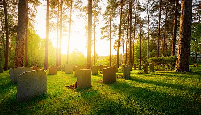 Abbey Lane Cemetery
