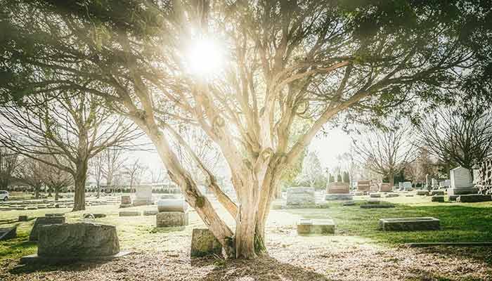 Addlestone Cemetery
