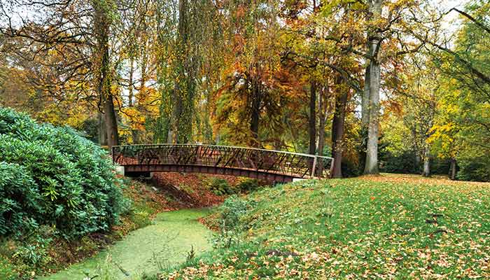 The Meadow Cemetery