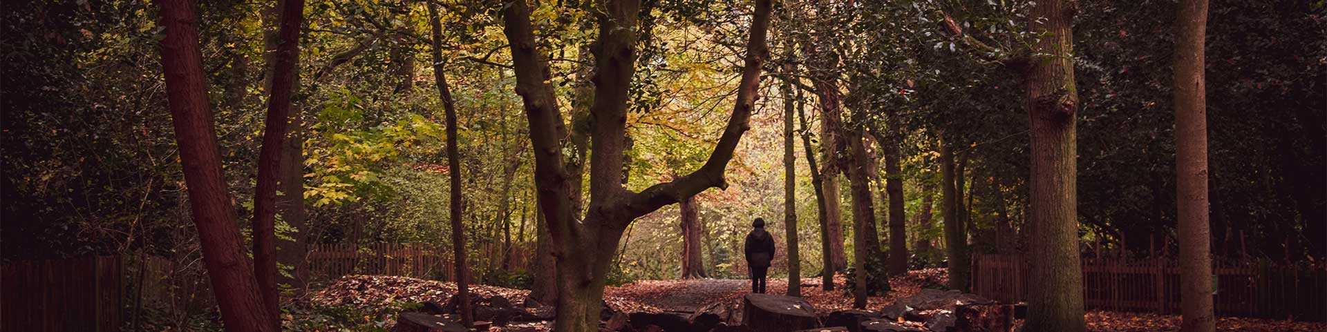 Funeral Directors Woodlands | Fixed Price | Funeral home Fenix